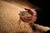 Polish Grain Stores as EU Slams Ukraine Grain Ban 'Unacceptable'