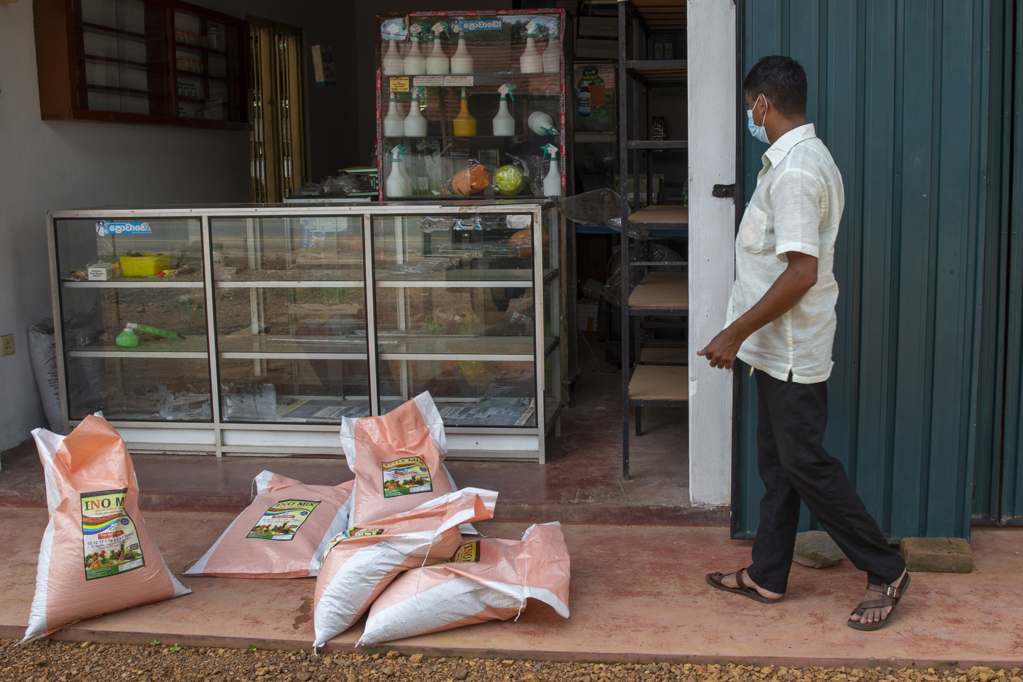 Rice Planting Season Amid Economic Crisis In Sri Lanka