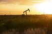 pumpjack nodding donkey oil shale texas