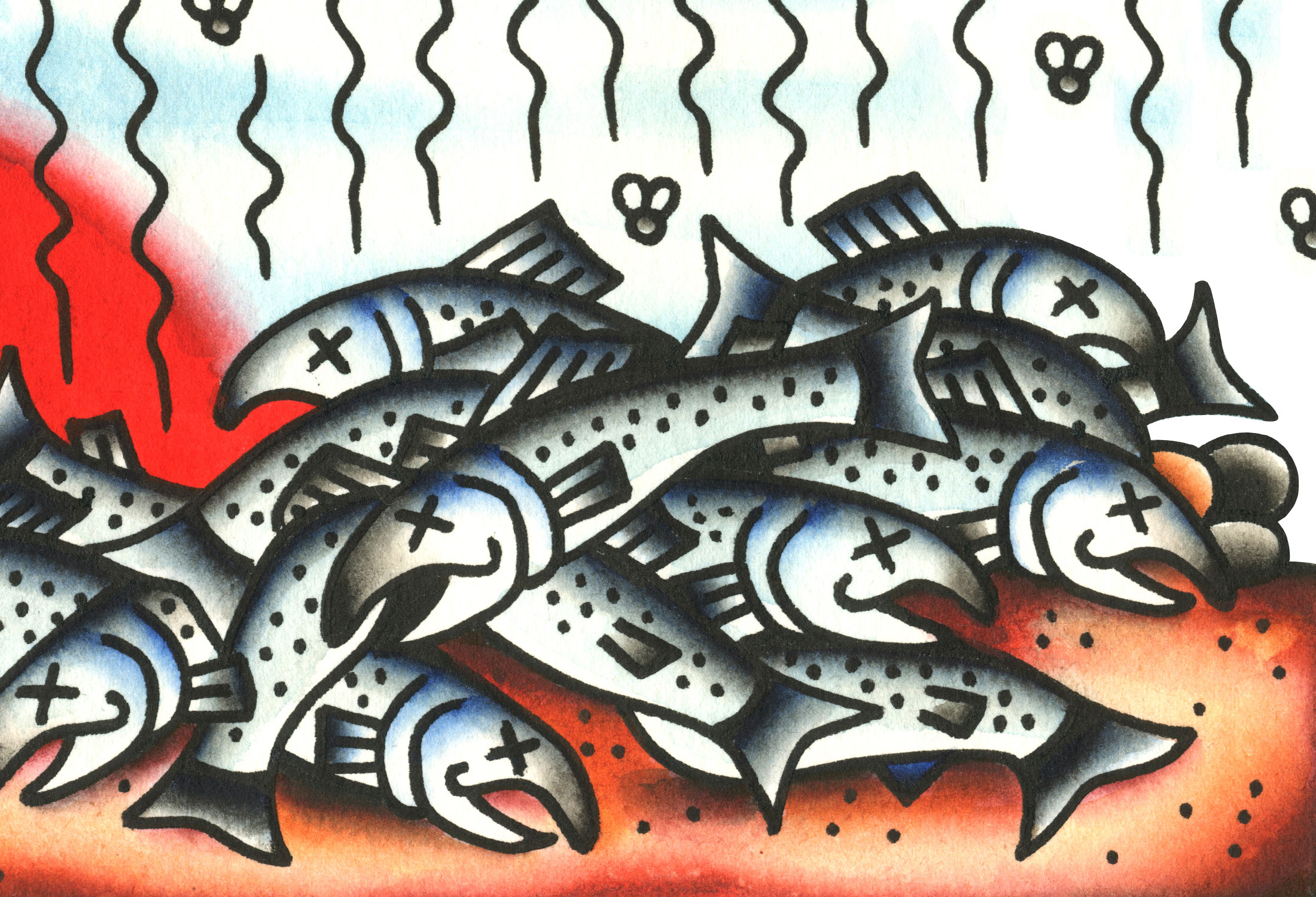 Salmon: A Keystone Species - Pacific Wild