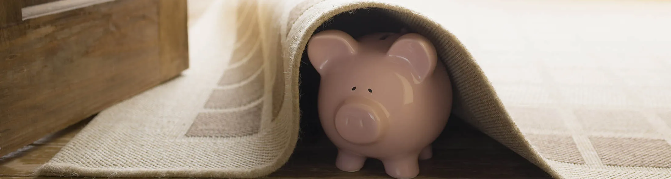 Piggy bank under rug
