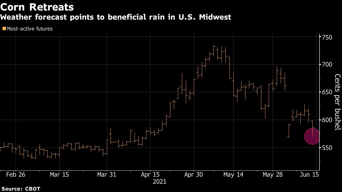 Corn and Soybeans Plunge on Forecast for Good U.S. Crop Weather - Bloomberg