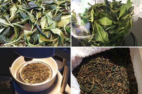 Tea leaves clockwise from top left: Withering on mesh trays, drying in small batches, being tested for moisture, and fermenting under a wet towel.