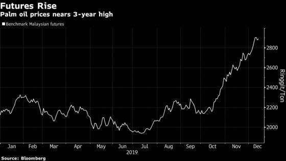 Palm Oil Climbs as Tighter Supply Outweighs Indian Demand Fears