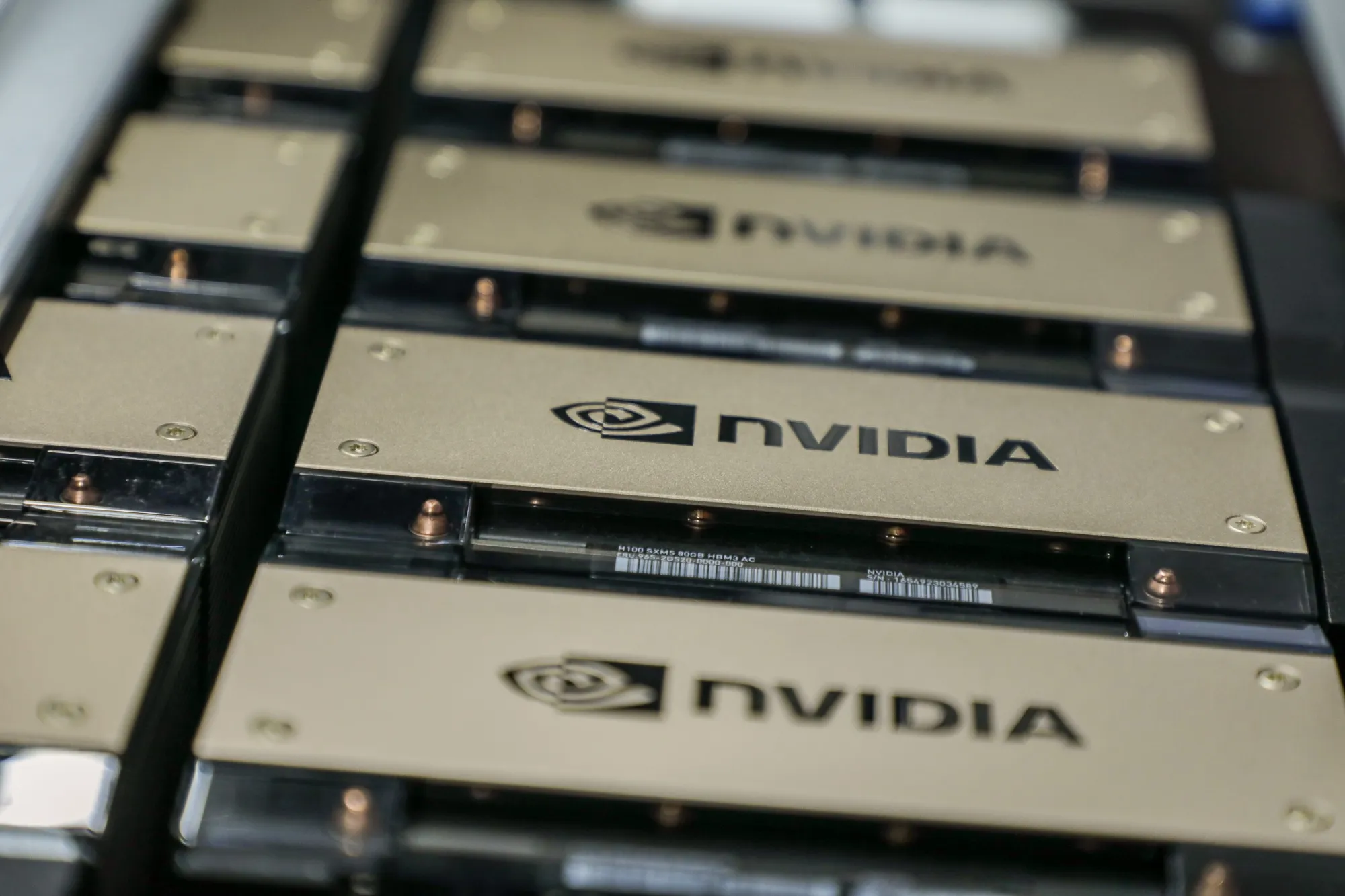 Nvidia Backs Little-Known Upstart in India’s Biggest AI Bet Yet