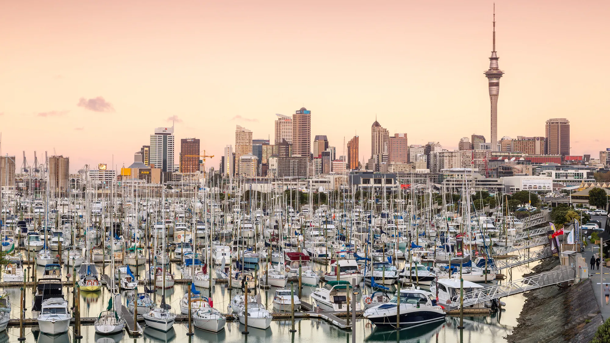 View of Auckland city and harbour at sunset, North Island, New Zealand
