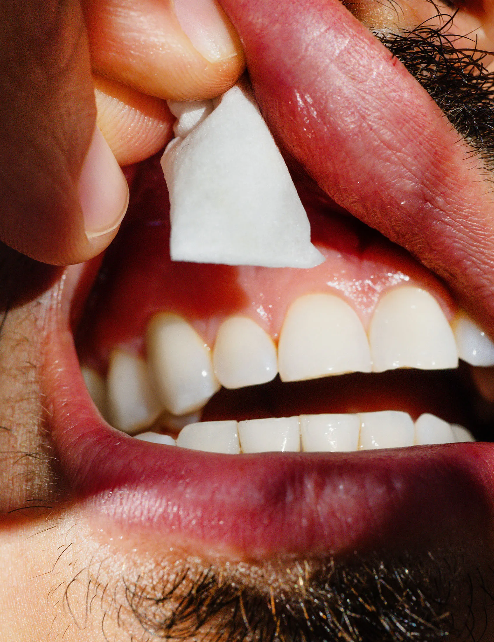 Zyn pouches are designed to snuggle in the hammock between lips and gums.