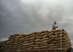 Sacks of paddy rice for transportation at a wholesale grain market in Dankaur, Uttar Pradesh, India.&nbsp;