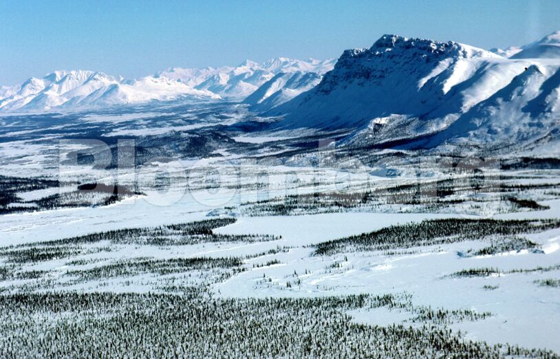 Arctic National Wildlife Refuge Eyed for Oil Drilling