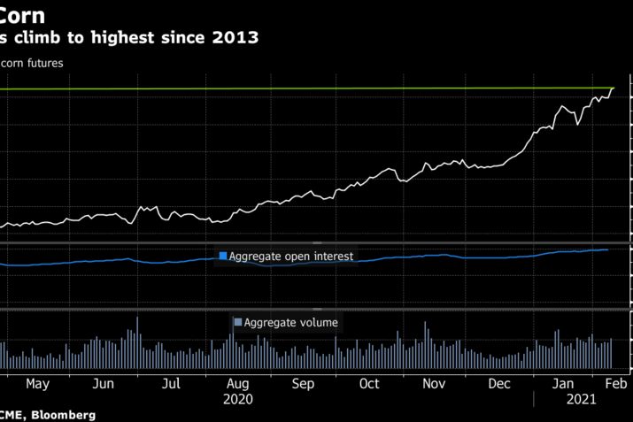 Futures climb to highest since 2013
