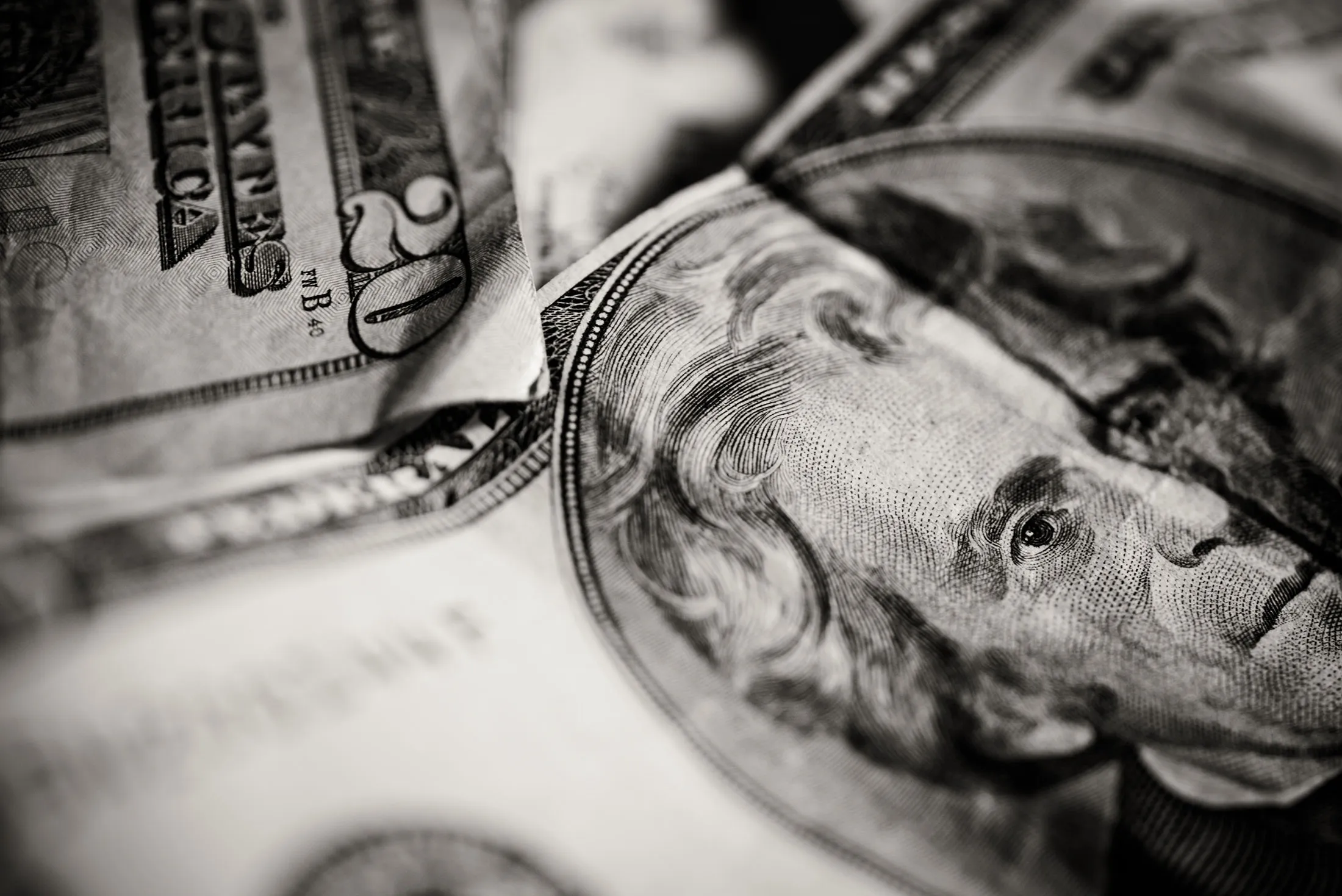 U.S. twenty dollar bills.

