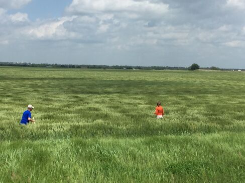 Surveying Oklahoma Wheat Fields