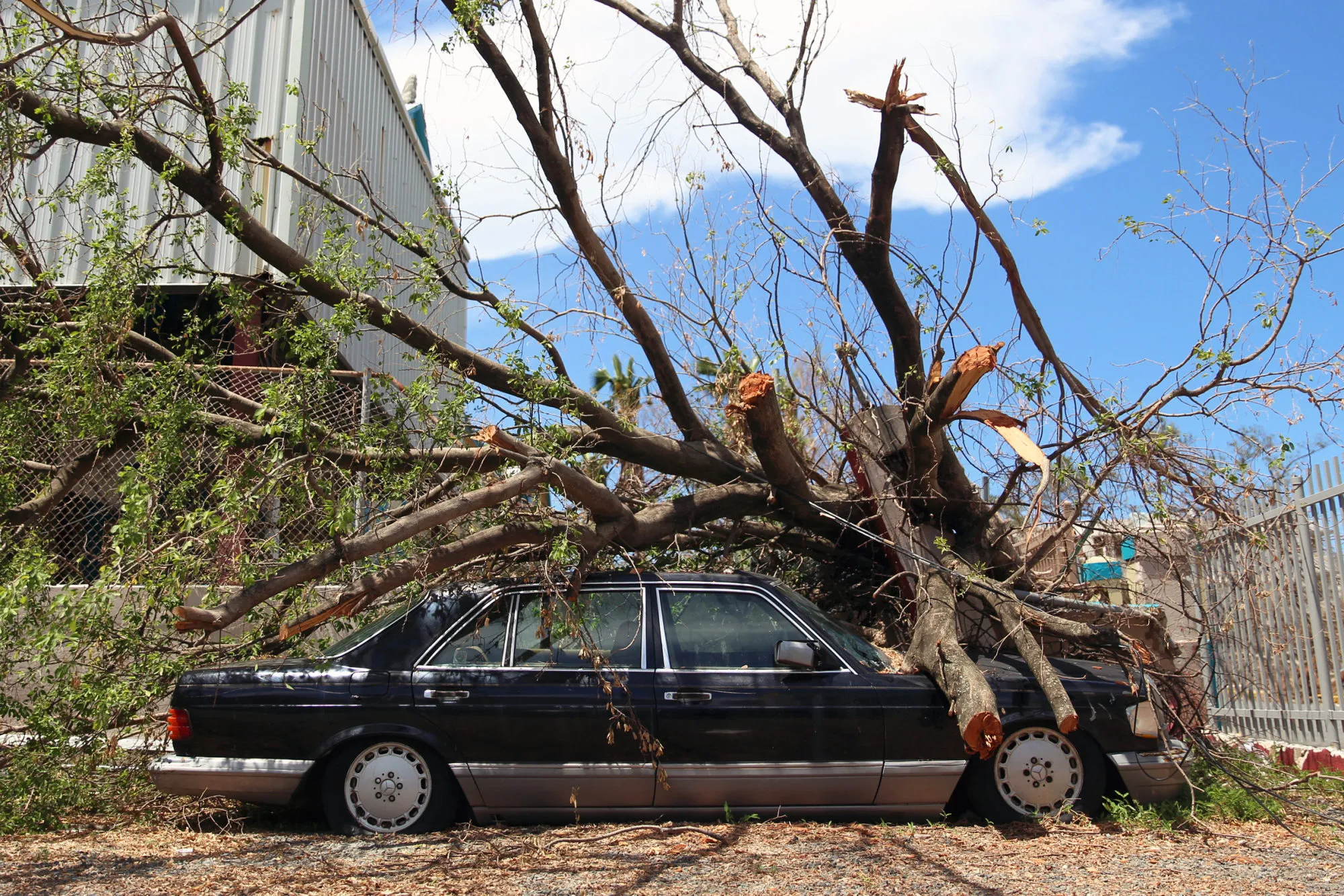 Fallen branches from Hurricane Maria lie on a vehicle in San Juan, Puerto Rico, in&nbsp;Sept. 2017.&nbsp;