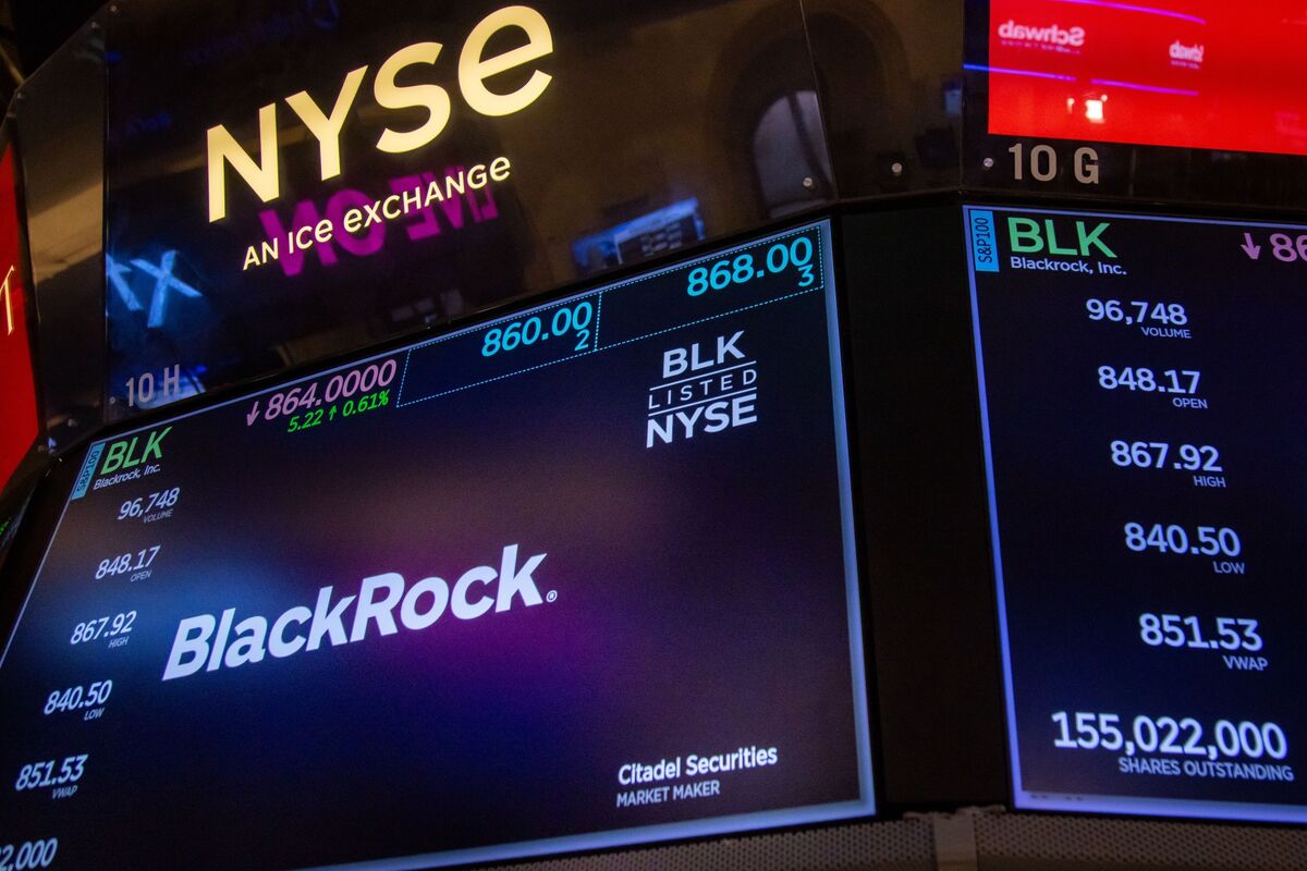 No One Crowned BlackRock and Vanguard to Rule Over Companies No One Crowned BlackRock and Vanguard to Rule Over Companies