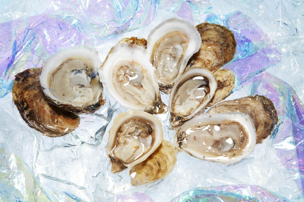 Best Oysters to Follow Kumamotos: Nonesuch, Peconic Gold, Kusshi - Bloomberg