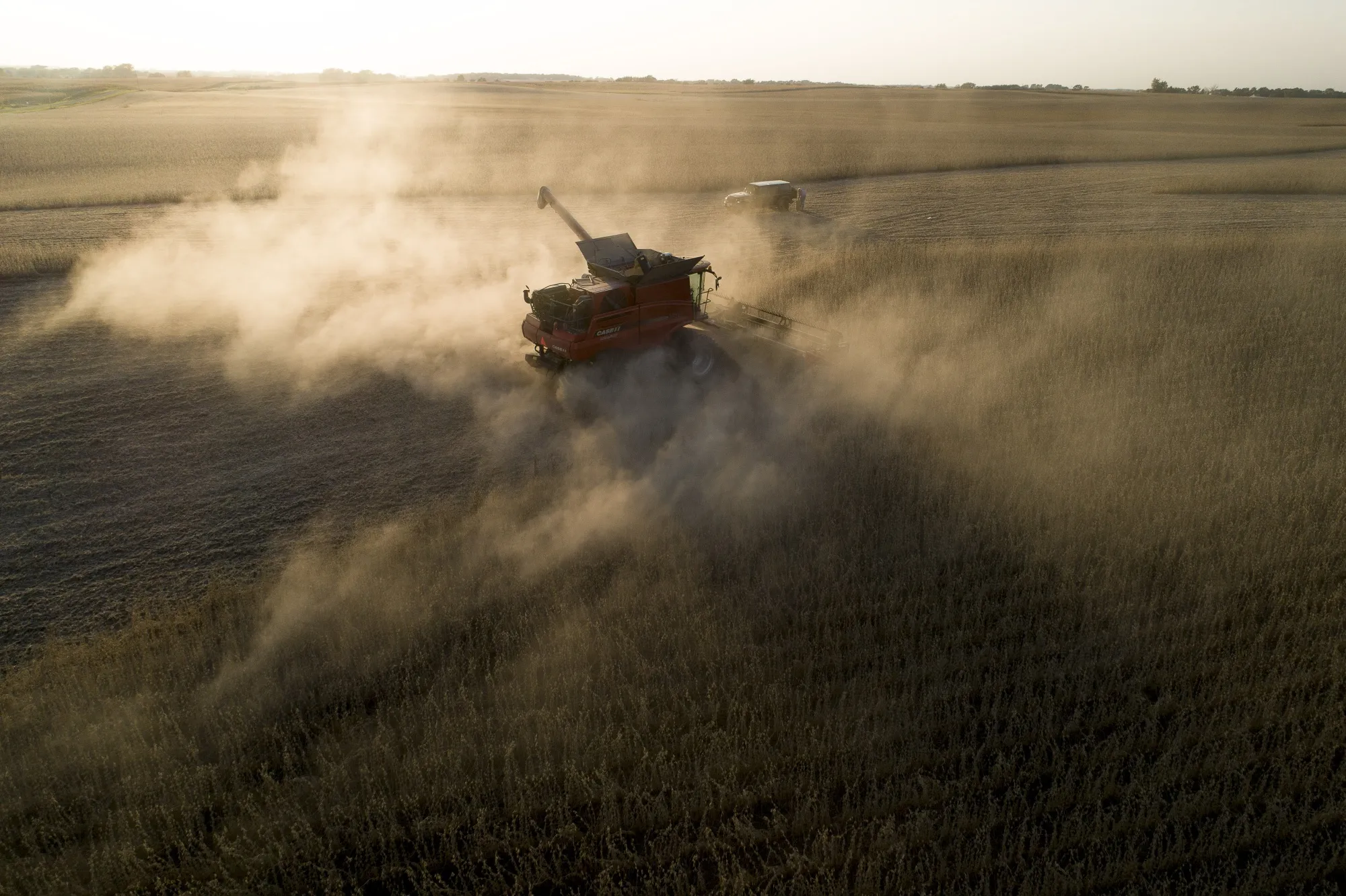 Soybeans harvest in Wyanet, Illinois, U.S.