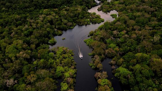 Amazon Bears Brunt of Gold-Prospecting Surge, Brazil Study Shows