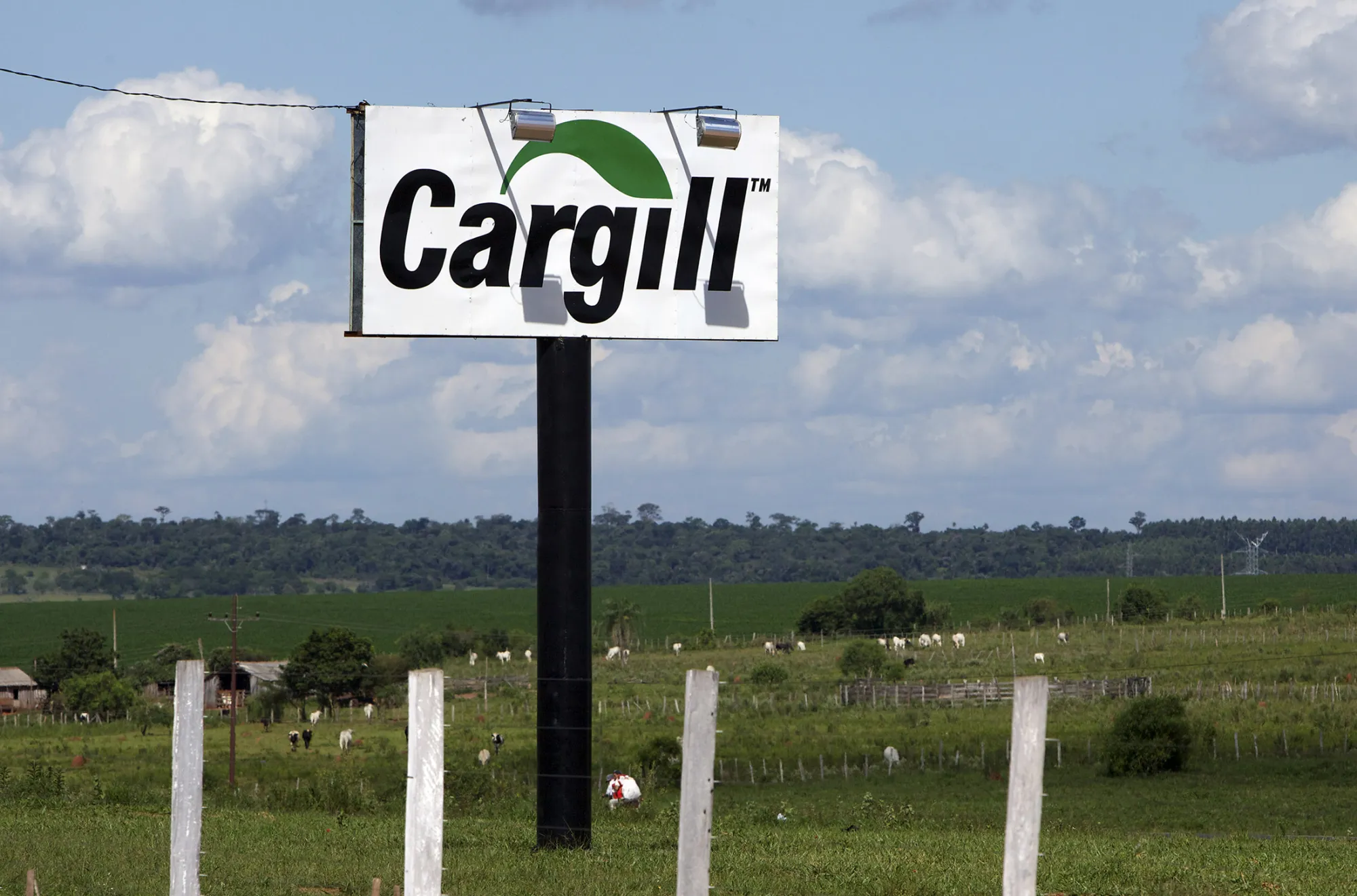 A Cargill Inc. sign stands in a field in the soybean-growing region near Campo Nueve, Paraguay, on Dec. 17, 2010.
