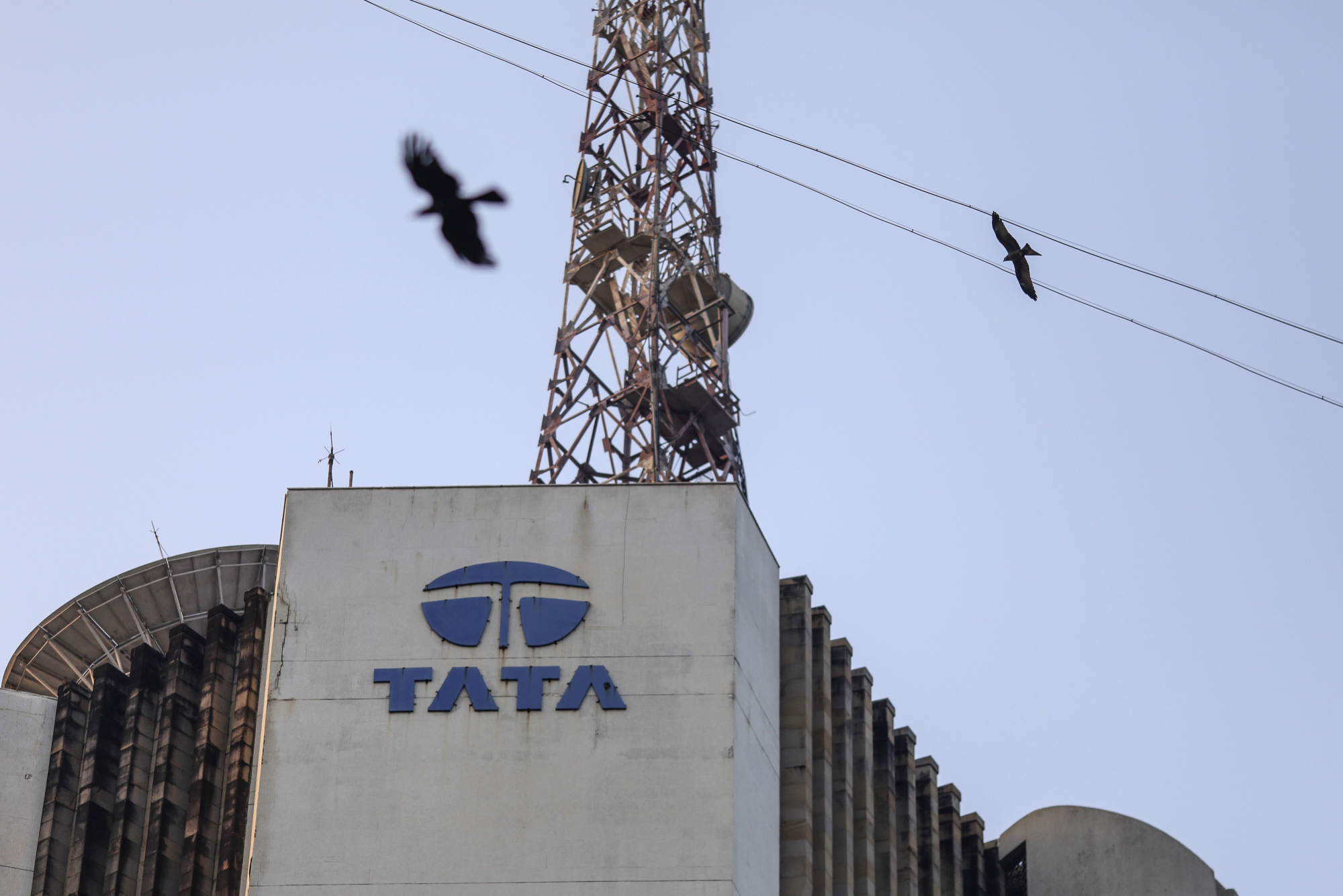 Tata Communications Logo PNG Vector (AI) Free Download