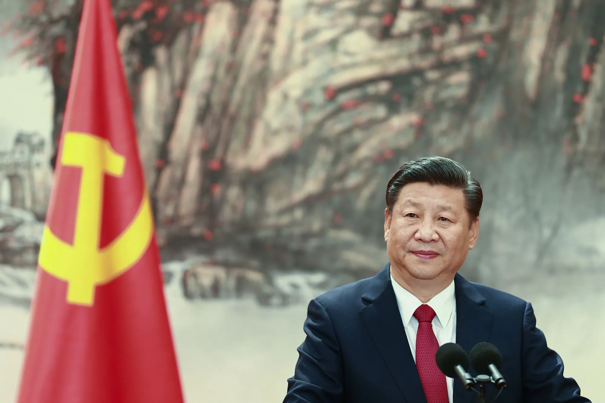 Xi Jinping&nbsp;