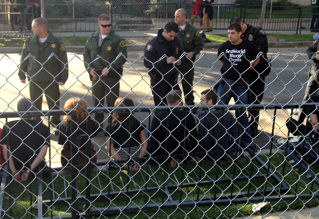 'Tom Jones,' standing at right, being arrested with other activists for trying to stop a SeaWorld float during the Jan. 2014 Rose Parade. Source: PETA via Bloomberg
