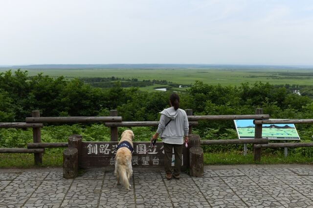 A visitor with a dog at Kushiro Shitsugen National Park in Kushiro, Hokkaido, Japan, on Saturday, July 8, 2023. Photographer: Noriko Hayashi/Bloomberg