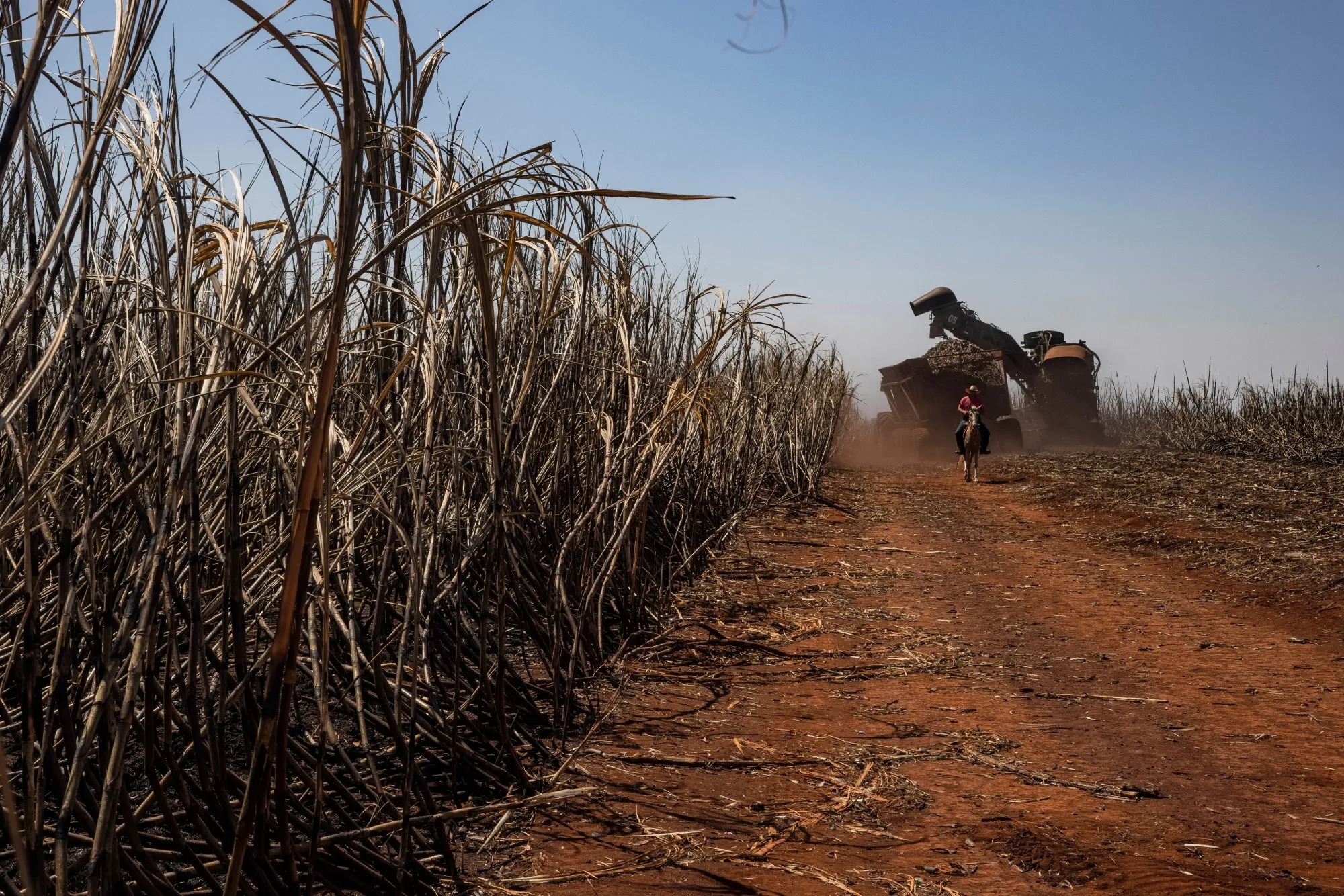 Raw Sugar Extends Gains as Brazil Fires Deepen Global Deficit ...