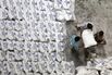 Sugar Harvest And Operations At Simbhaoli Sugars Ltd. As Output Set To Climb
