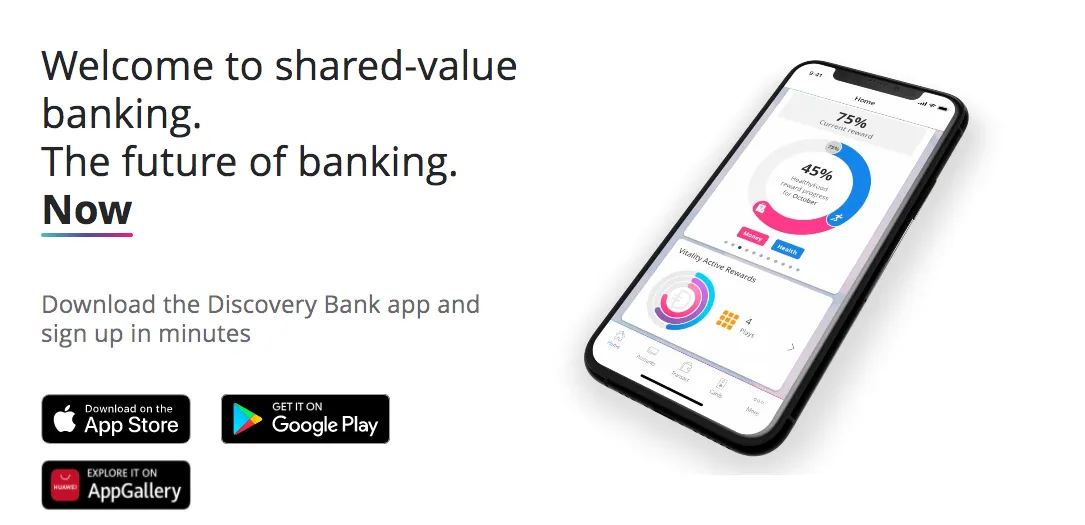 The&nbsp;Discovery Bank website.