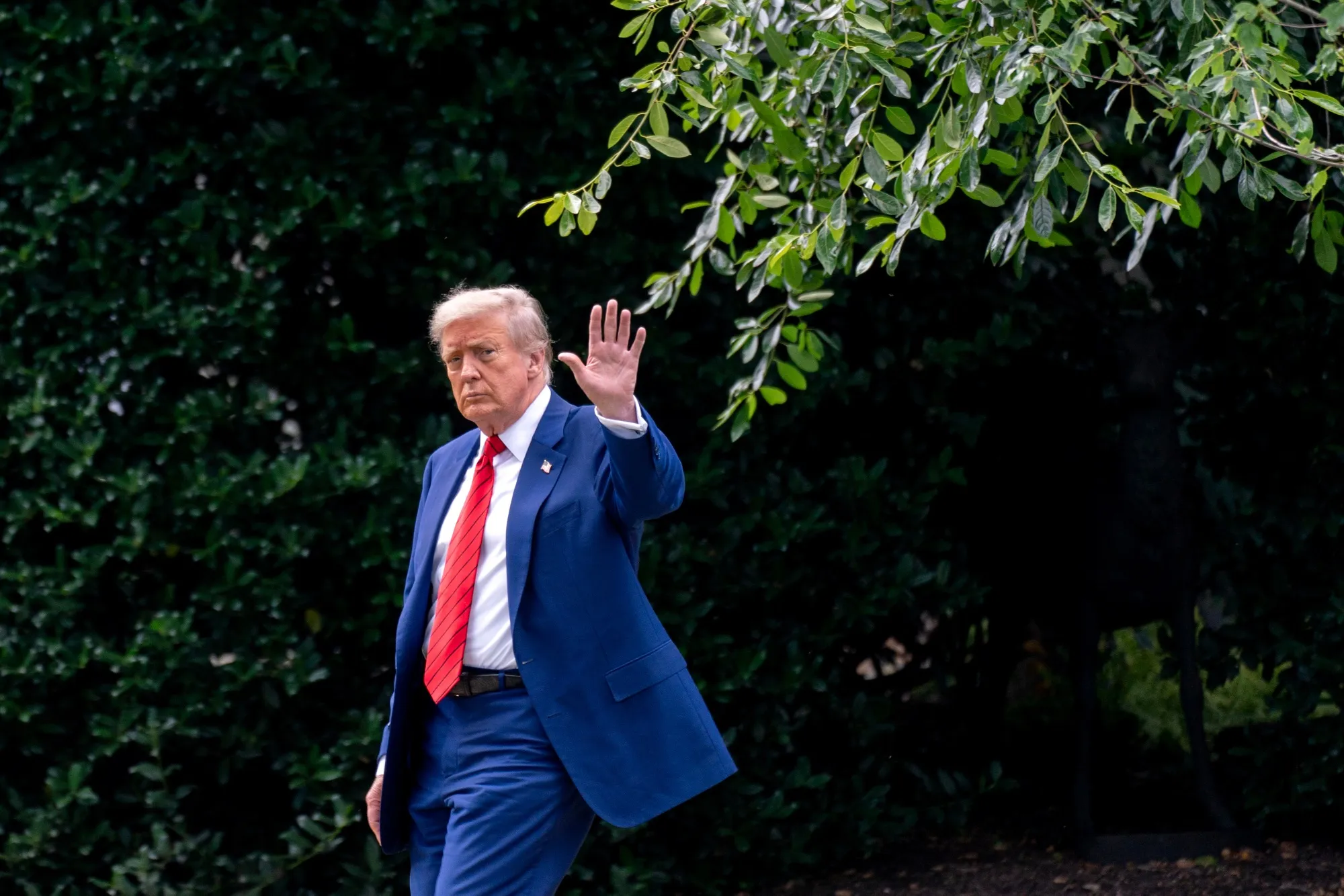 US President Donald Trump walks on the South Lawn of the White House&nbsp;in Washington on&nbsp;June 20.