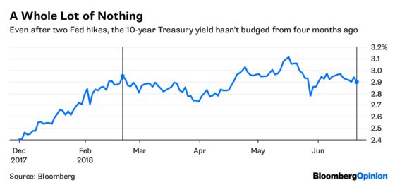 Four Months of Nothing Give Life to Bond Bulls