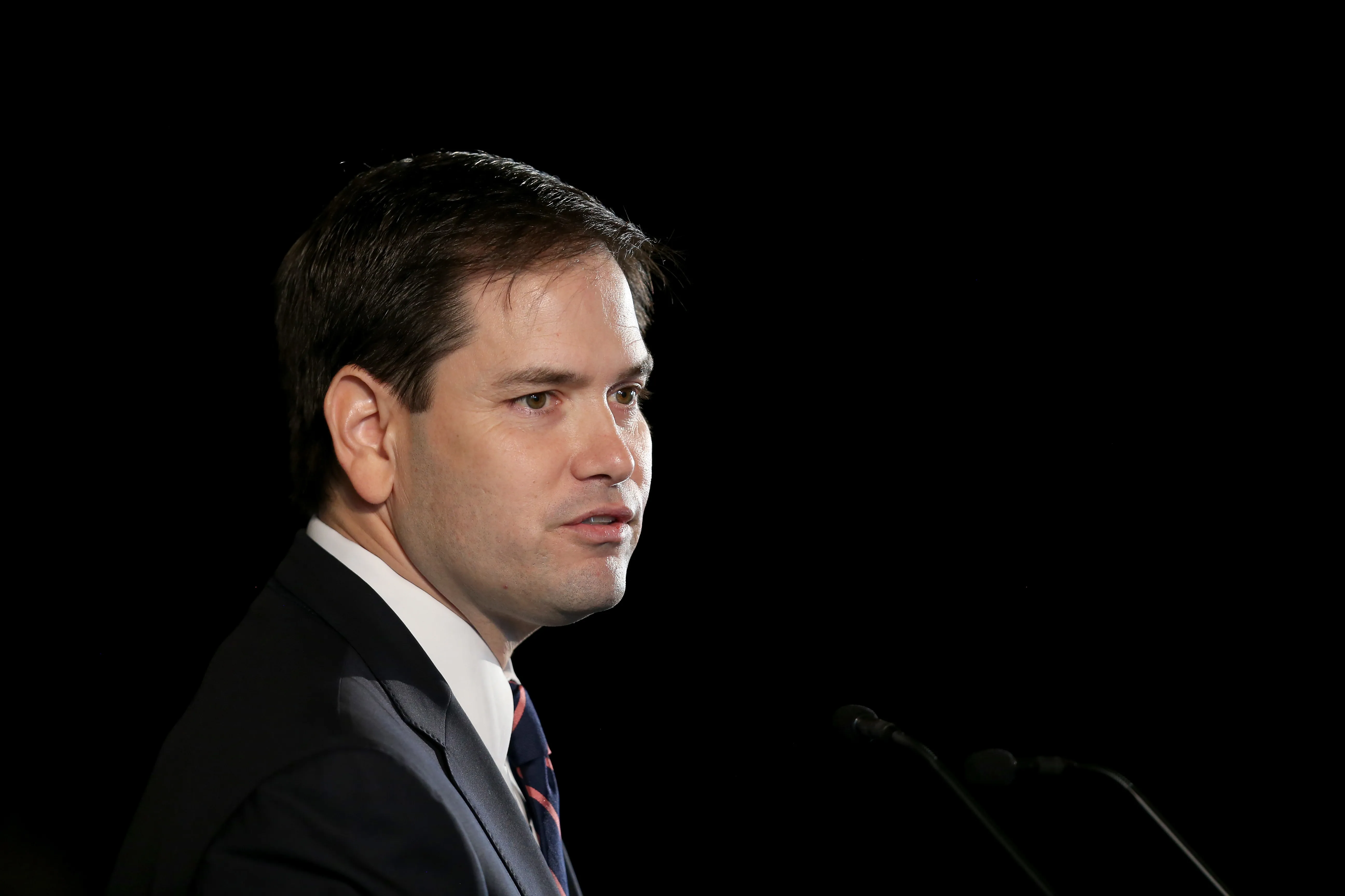 Marco Rubio on February 9, 2015 in Miami, Florida.
