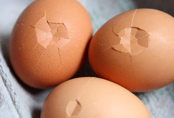 Eggs show what’s ahead.&nbsp;