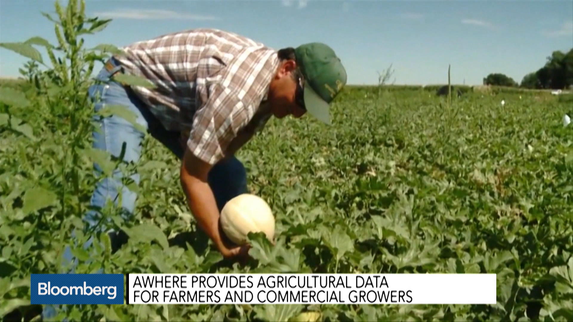 Agriculture 2.0 Investing in Farms of the Future Bloomberg