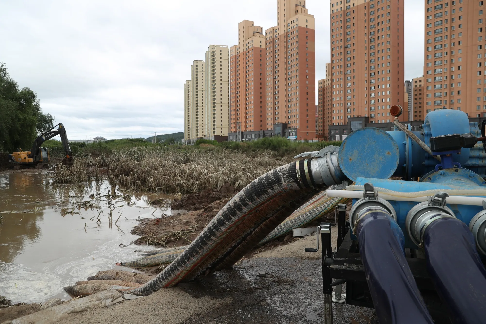 Drainage operation at a flooded field in Shangzhi City, Heilongjiang Province on Aug. 11.