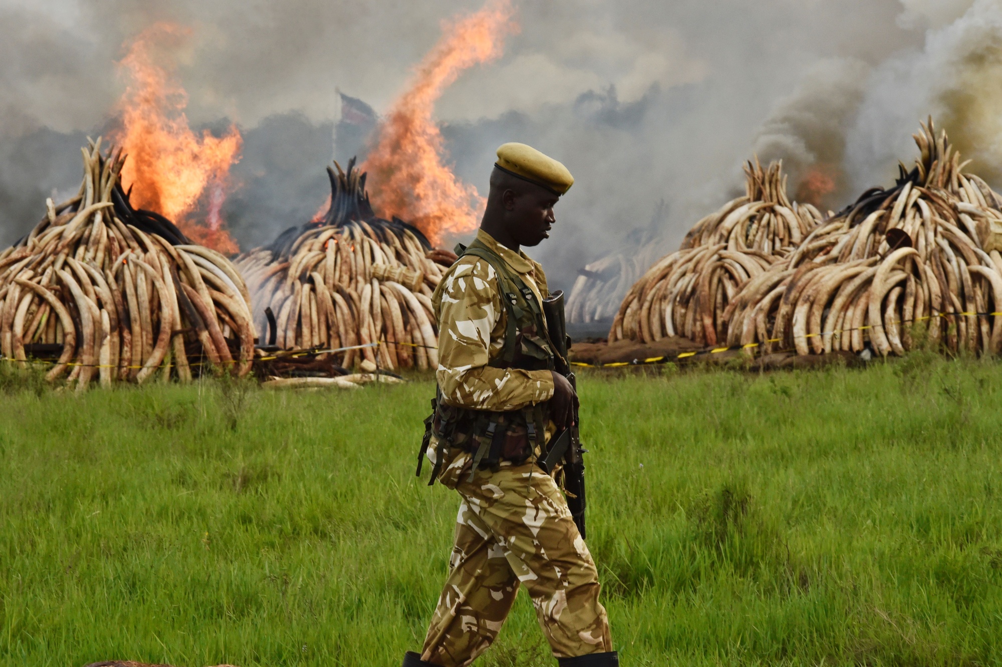 As countries like Kenya and Tanzania stepped up anti-poaching patrols&nbsp;and smuggling enforcement, criminal syndicates shifted their activity to other regions, such as central and southern Africa.