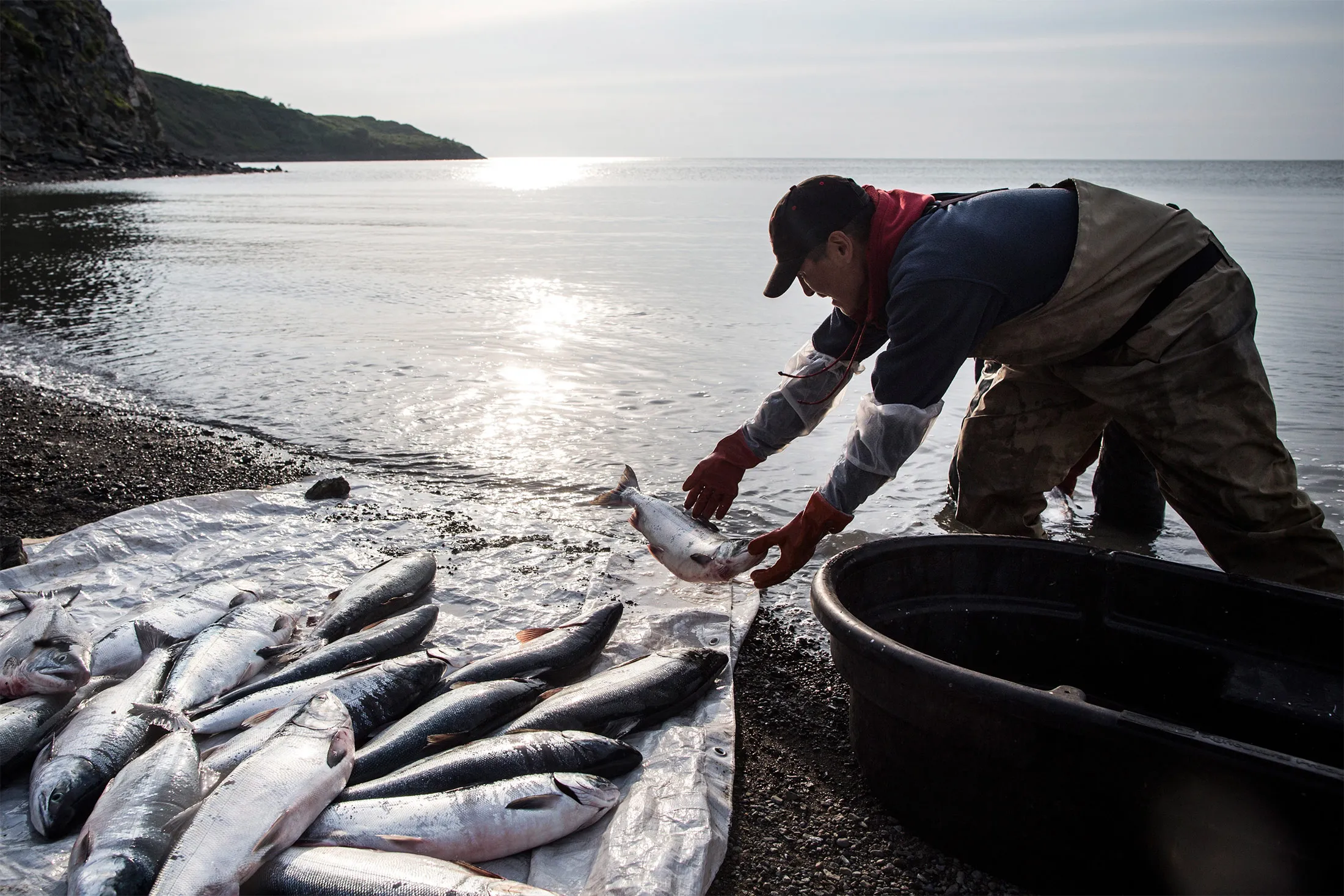 A fisherman washes freshly caught salmon in Newtok, Alaska.