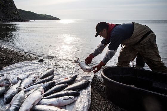 Salmon Have Shrunk So Much That Whole Foods Redid Its Guidelines