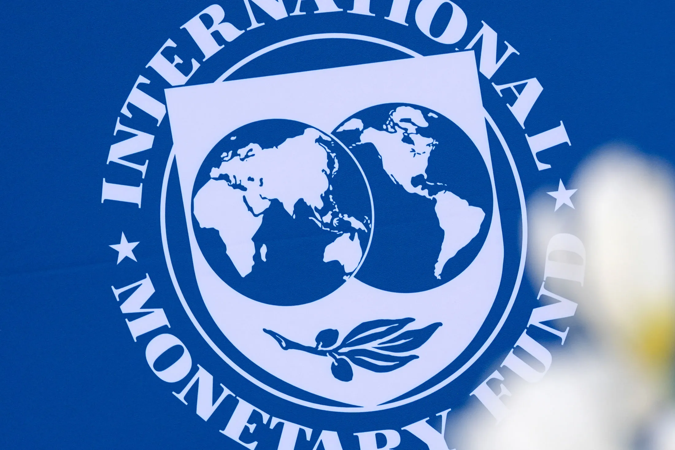 IMF branding.