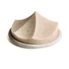 Erode Soap