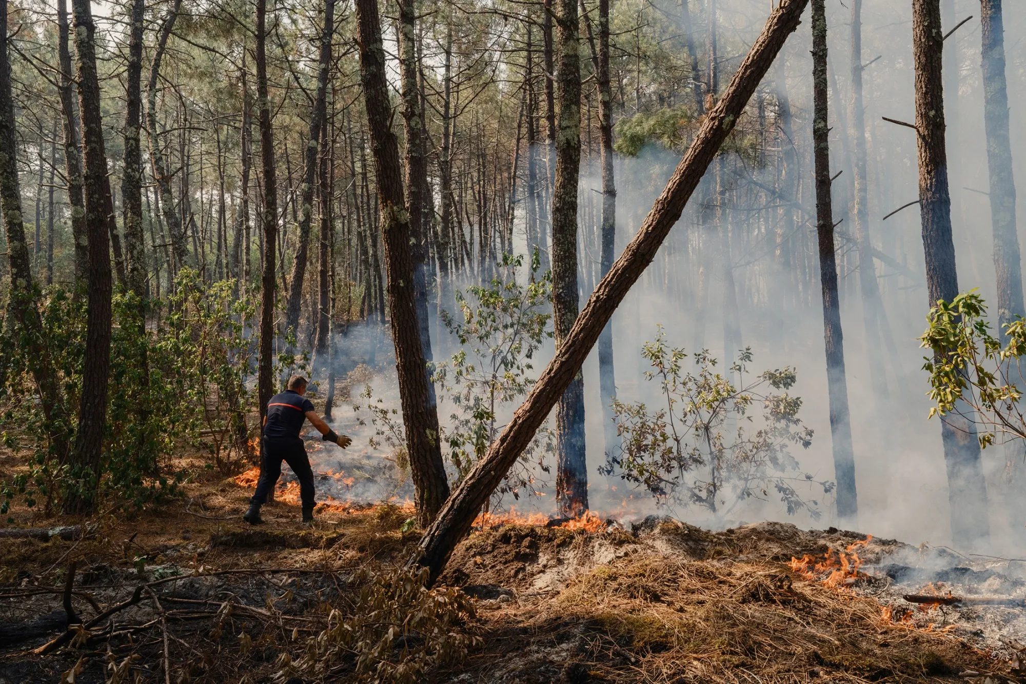 Climate change made wildfires in France at least twice as likely and 20 times as likely in Spain, scientists say.