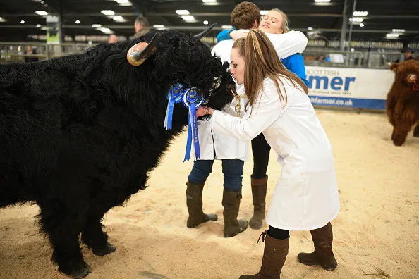 Expect the Fed to do investors a favor and keep the bull market going.&nbsp;