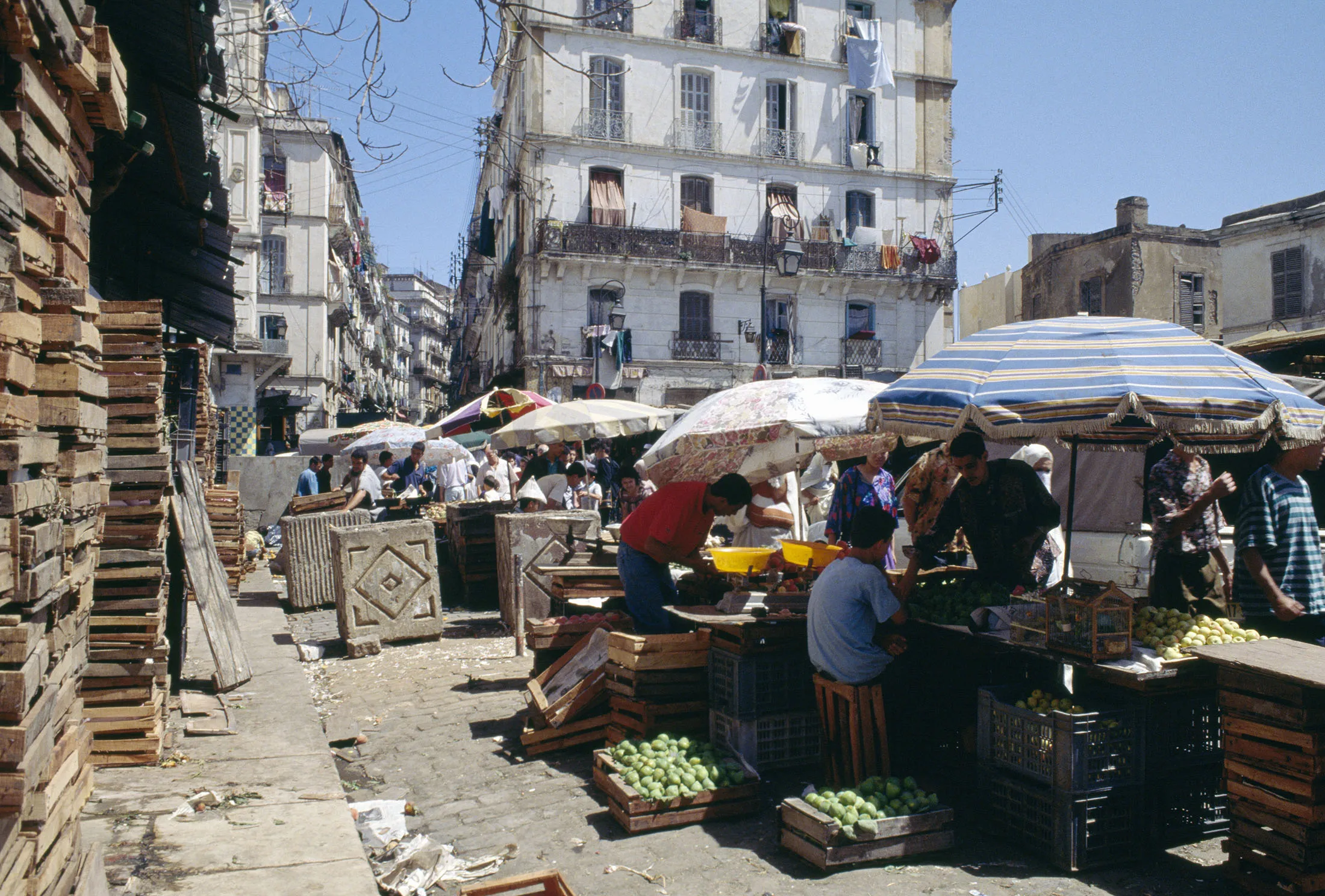 A market in Algiers, Algeria.
