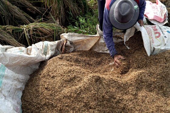 Struggling Farmers Pose a Challenge to Jokowi’s Bid for a Second Term