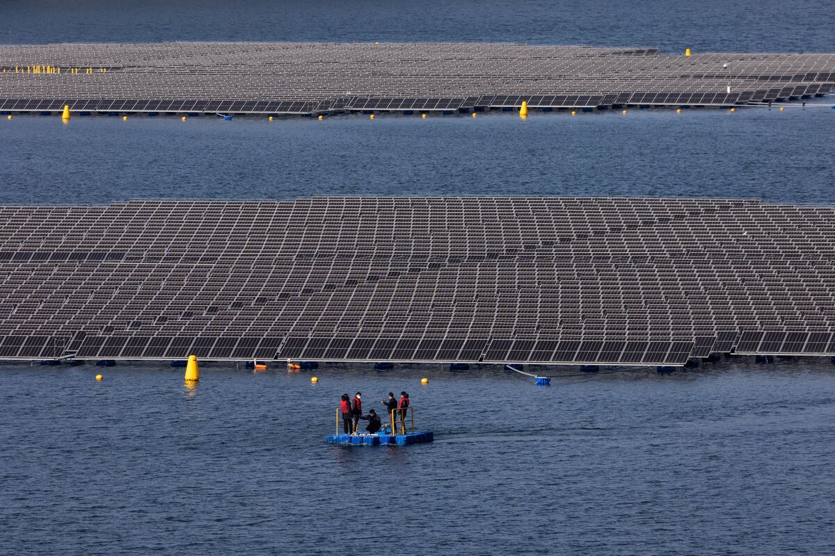 solar floating flowers