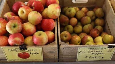 Why are Honeycrisp apples still so expensive?