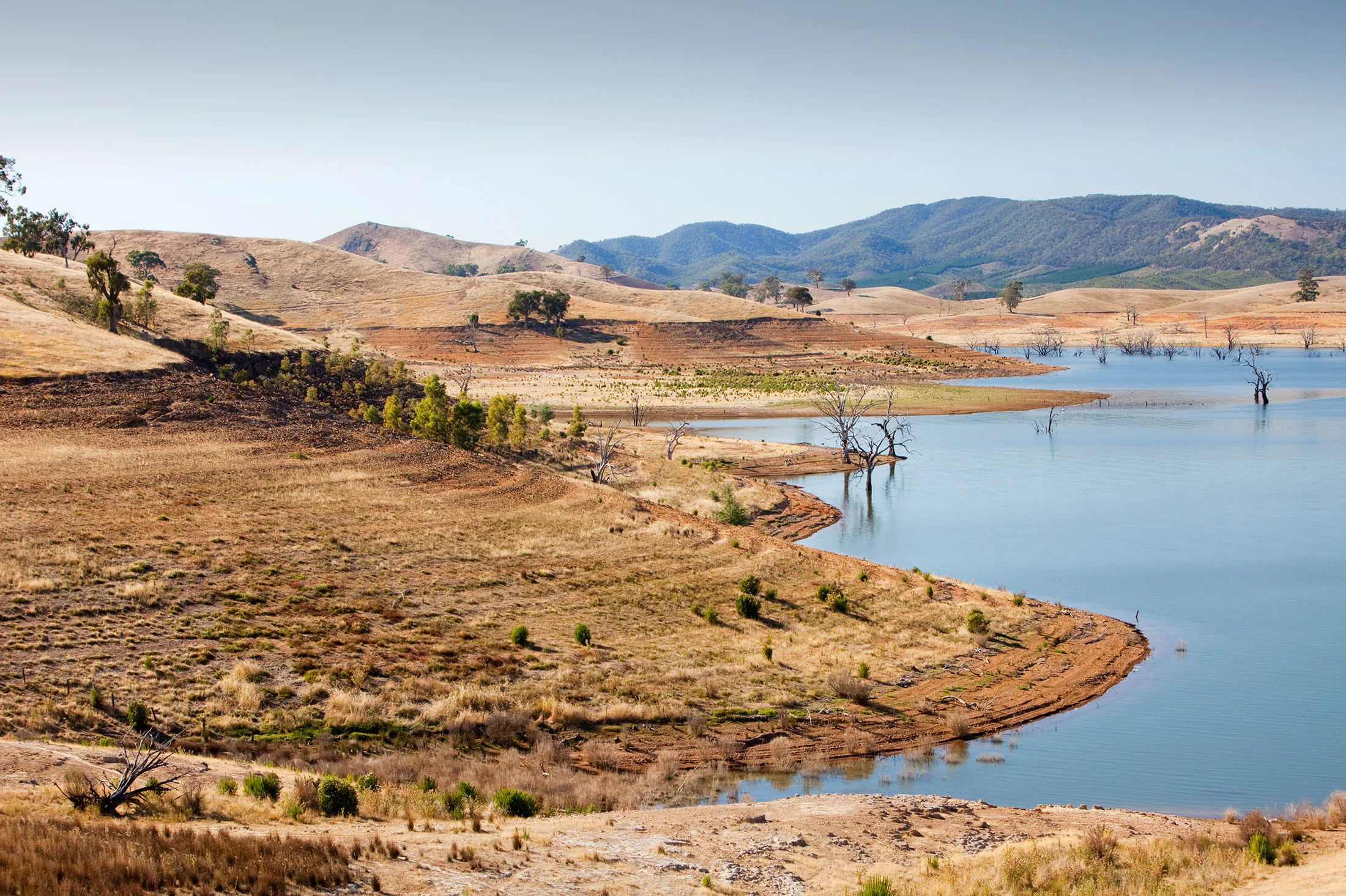 Most of Victoria and New South Wales in Australia has been in the grip of an unprecedented drought for the last ten years. River levels have dropped and reservoirs are at a fraction of their capacity. Lake Eildon was built in the 1950's to provide irriga