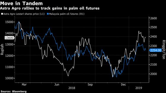 Palm Oil's Best Start Since 2016 Still Has Legs, Top Grower Says