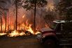 California's Mosquito Fire Threatens Mountain Communities