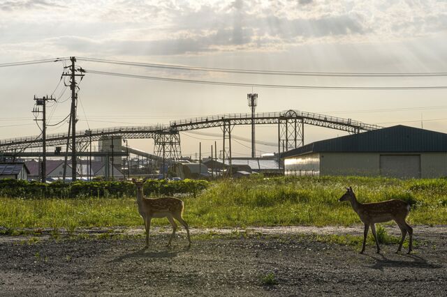 Kushiro Coal Mine Co., in Kushiro, Hokkaido, Japan, on Friday, July 7, 2023.  Photographer: Noriko Hayashi/Bloomberg